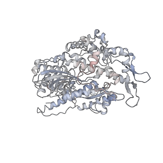 7116_6bnp_N_v1-2
CryoEM structure of MyosinVI-actin complex in the rigor (nucleotide-free) state