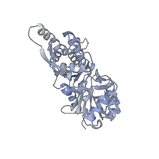 7116_6bnv_A_v1-1
CryoEM structure of MyosinVI-actin complex in the rigor (nucleotide-free) state, backbone-averaged with side chains truncated to alanine