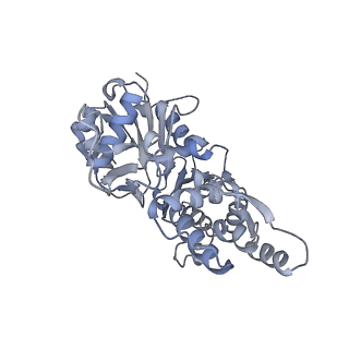 7116_6bnv_B_v1-1
CryoEM structure of MyosinVI-actin complex in the rigor (nucleotide-free) state, backbone-averaged with side chains truncated to alanine
