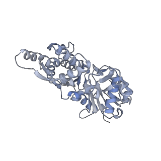 7116_6bnv_C_v1-1
CryoEM structure of MyosinVI-actin complex in the rigor (nucleotide-free) state, backbone-averaged with side chains truncated to alanine