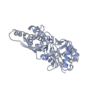 7116_6bnv_C_v1-2
CryoEM structure of MyosinVI-actin complex in the rigor (nucleotide-free) state, backbone-averaged with side chains truncated to alanine