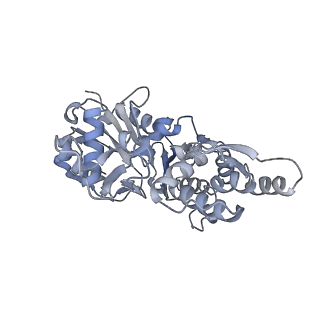 7116_6bnv_D_v1-1
CryoEM structure of MyosinVI-actin complex in the rigor (nucleotide-free) state, backbone-averaged with side chains truncated to alanine