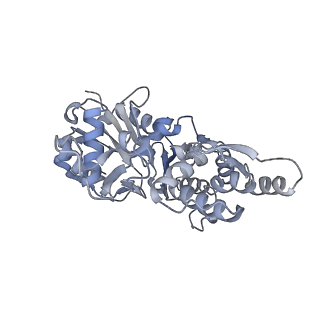 7116_6bnv_D_v1-2
CryoEM structure of MyosinVI-actin complex in the rigor (nucleotide-free) state, backbone-averaged with side chains truncated to alanine