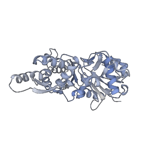 7116_6bnv_E_v1-1
CryoEM structure of MyosinVI-actin complex in the rigor (nucleotide-free) state, backbone-averaged with side chains truncated to alanine