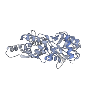 7116_6bnv_E_v1-2
CryoEM structure of MyosinVI-actin complex in the rigor (nucleotide-free) state, backbone-averaged with side chains truncated to alanine