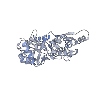 7116_6bnv_F_v1-1
CryoEM structure of MyosinVI-actin complex in the rigor (nucleotide-free) state, backbone-averaged with side chains truncated to alanine