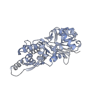7116_6bnv_G_v1-1
CryoEM structure of MyosinVI-actin complex in the rigor (nucleotide-free) state, backbone-averaged with side chains truncated to alanine