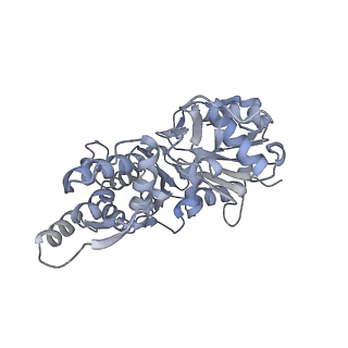 7116_6bnv_G_v1-2
CryoEM structure of MyosinVI-actin complex in the rigor (nucleotide-free) state, backbone-averaged with side chains truncated to alanine