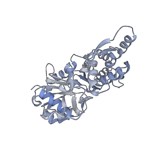 7116_6bnv_H_v1-1
CryoEM structure of MyosinVI-actin complex in the rigor (nucleotide-free) state, backbone-averaged with side chains truncated to alanine