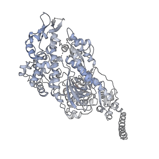7116_6bnv_I_v1-1
CryoEM structure of MyosinVI-actin complex in the rigor (nucleotide-free) state, backbone-averaged with side chains truncated to alanine