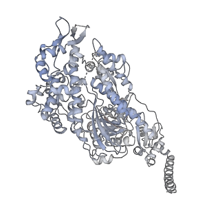 7116_6bnv_I_v1-2
CryoEM structure of MyosinVI-actin complex in the rigor (nucleotide-free) state, backbone-averaged with side chains truncated to alanine