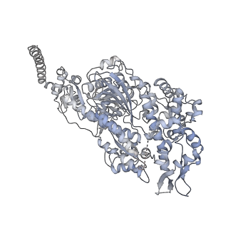 7116_6bnv_J_v1-1
CryoEM structure of MyosinVI-actin complex in the rigor (nucleotide-free) state, backbone-averaged with side chains truncated to alanine