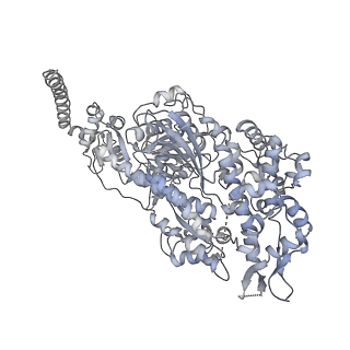 7116_6bnv_J_v1-2
CryoEM structure of MyosinVI-actin complex in the rigor (nucleotide-free) state, backbone-averaged with side chains truncated to alanine