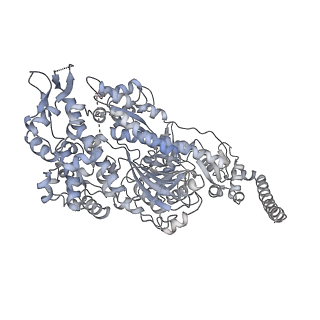 7116_6bnv_K_v1-1
CryoEM structure of MyosinVI-actin complex in the rigor (nucleotide-free) state, backbone-averaged with side chains truncated to alanine