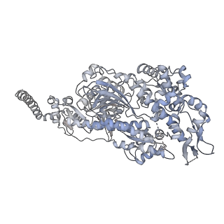 7116_6bnv_L_v1-1
CryoEM structure of MyosinVI-actin complex in the rigor (nucleotide-free) state, backbone-averaged with side chains truncated to alanine