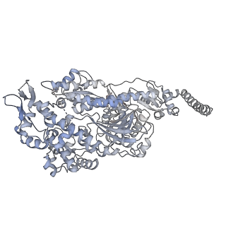 7116_6bnv_M_v1-1
CryoEM structure of MyosinVI-actin complex in the rigor (nucleotide-free) state, backbone-averaged with side chains truncated to alanine