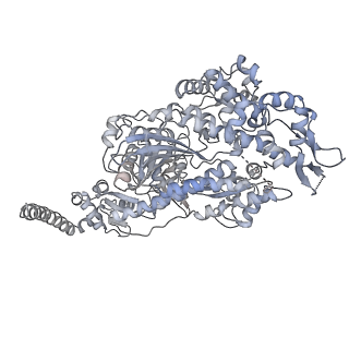 7116_6bnv_N_v1-1
CryoEM structure of MyosinVI-actin complex in the rigor (nucleotide-free) state, backbone-averaged with side chains truncated to alanine
