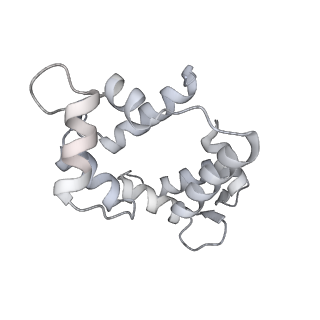 7116_6bnv_O_v1-1
CryoEM structure of MyosinVI-actin complex in the rigor (nucleotide-free) state, backbone-averaged with side chains truncated to alanine