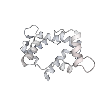 7116_6bnv_P_v1-1
CryoEM structure of MyosinVI-actin complex in the rigor (nucleotide-free) state, backbone-averaged with side chains truncated to alanine