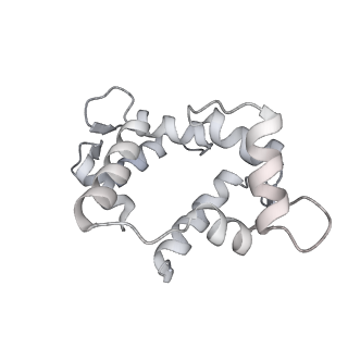 7116_6bnv_P_v1-2
CryoEM structure of MyosinVI-actin complex in the rigor (nucleotide-free) state, backbone-averaged with side chains truncated to alanine