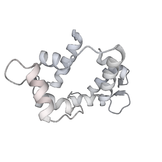 7116_6bnv_Q_v1-2
CryoEM structure of MyosinVI-actin complex in the rigor (nucleotide-free) state, backbone-averaged with side chains truncated to alanine