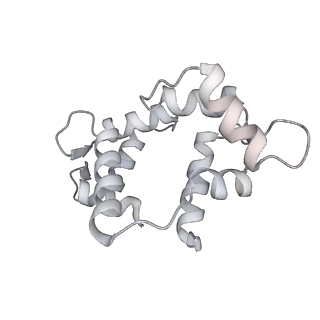 7116_6bnv_R_v1-1
CryoEM structure of MyosinVI-actin complex in the rigor (nucleotide-free) state, backbone-averaged with side chains truncated to alanine