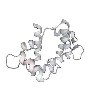 7116_6bnv_S_v1-1
CryoEM structure of MyosinVI-actin complex in the rigor (nucleotide-free) state, backbone-averaged with side chains truncated to alanine