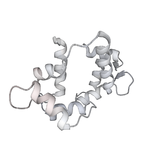 7116_6bnv_S_v1-2
CryoEM structure of MyosinVI-actin complex in the rigor (nucleotide-free) state, backbone-averaged with side chains truncated to alanine