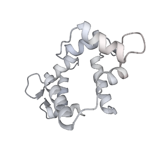 7116_6bnv_T_v1-1
CryoEM structure of MyosinVI-actin complex in the rigor (nucleotide-free) state, backbone-averaged with side chains truncated to alanine