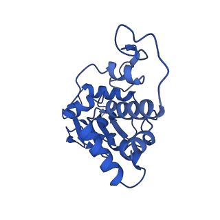 12239_7bod_D_v1-1
Bacterial 30S ribosomal subunit assembly complex state M (body domain)