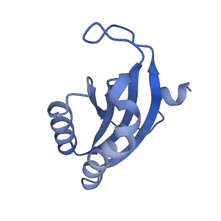 12239_7bod_F_v1-1
Bacterial 30S ribosomal subunit assembly complex state M (body domain)