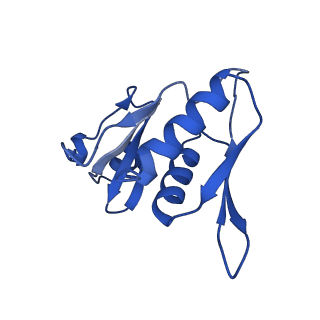12239_7bod_H_v1-1
Bacterial 30S ribosomal subunit assembly complex state M (body domain)