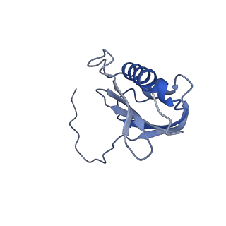 12239_7bod_K_v1-1
Bacterial 30S ribosomal subunit assembly complex state M (body domain)