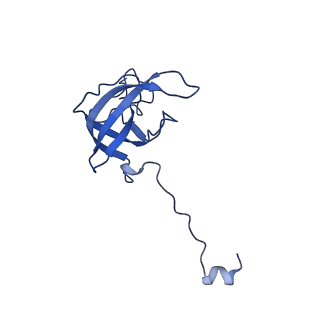 12239_7bod_L_v1-1
Bacterial 30S ribosomal subunit assembly complex state M (body domain)