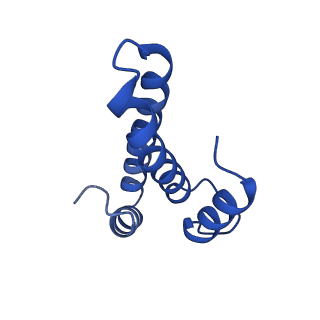 12239_7bod_O_v1-1
Bacterial 30S ribosomal subunit assembly complex state M (body domain)