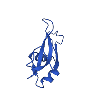 12239_7bod_P_v1-1
Bacterial 30S ribosomal subunit assembly complex state M (body domain)