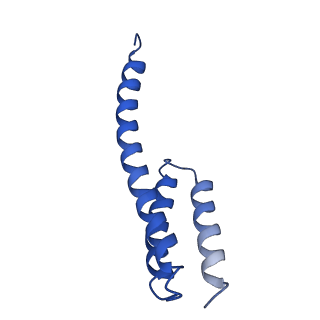 12239_7bod_T_v1-1
Bacterial 30S ribosomal subunit assembly complex state M (body domain)