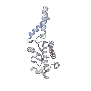 12240_7boe_B_v1-0
Bacterial 30S ribosomal subunit assembly complex state M (Consensus refinement)