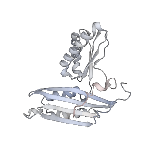 12240_7boe_C_v1-0
Bacterial 30S ribosomal subunit assembly complex state M (Consensus refinement)