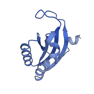 12240_7boe_F_v1-0
Bacterial 30S ribosomal subunit assembly complex state M (Consensus refinement)