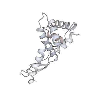 12240_7boe_G_v1-0
Bacterial 30S ribosomal subunit assembly complex state M (Consensus refinement)