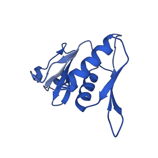 12240_7boe_H_v1-0
Bacterial 30S ribosomal subunit assembly complex state M (Consensus refinement)