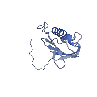 12240_7boe_K_v1-0
Bacterial 30S ribosomal subunit assembly complex state M (Consensus refinement)