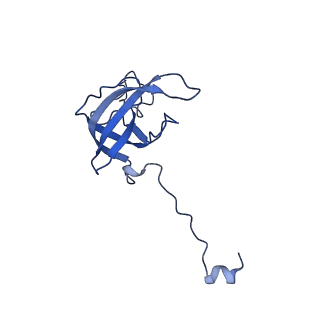 12240_7boe_L_v1-0
Bacterial 30S ribosomal subunit assembly complex state M (Consensus refinement)