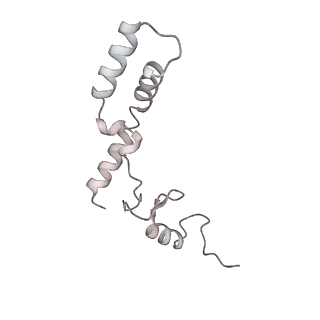 12240_7boe_N_v1-0
Bacterial 30S ribosomal subunit assembly complex state M (Consensus refinement)