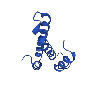12240_7boe_O_v1-0
Bacterial 30S ribosomal subunit assembly complex state M (Consensus refinement)