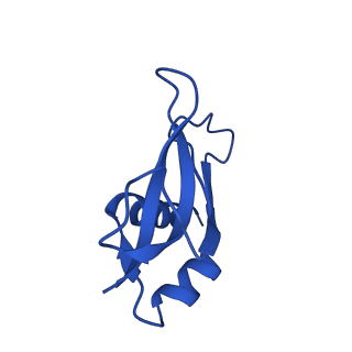 12240_7boe_P_v1-0
Bacterial 30S ribosomal subunit assembly complex state M (Consensus refinement)