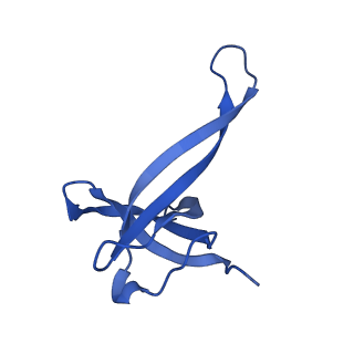 12240_7boe_Q_v1-0
Bacterial 30S ribosomal subunit assembly complex state M (Consensus refinement)