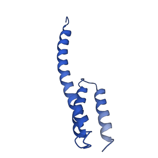 12240_7boe_T_v1-0
Bacterial 30S ribosomal subunit assembly complex state M (Consensus refinement)
