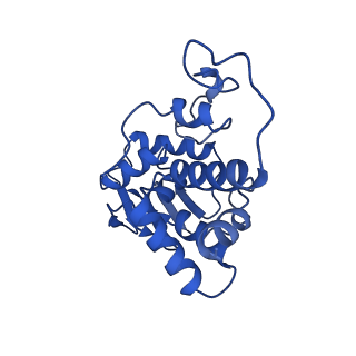 12241_7bof_D_v1-1
Bacterial 30S ribosomal subunit assembly complex state I (body domain)